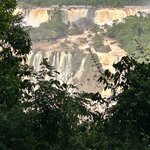 Photo taken by Randall D