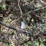 Photo taken by Dixie W