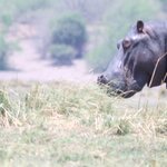 Photo taken by John B