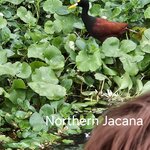 Photo taken by Donna R