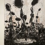 Photo taken by Lee G