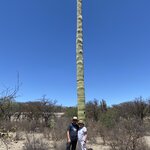 Photo taken by Martin S