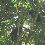 Photo taken by Tracye P