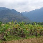 Photo taken by Bianca C