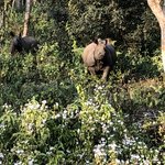 Photo taken by Alan W