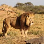 Photo taken by Joaquin M