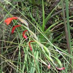 Photo taken by Kristin M