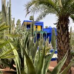 Photo taken by Louis U