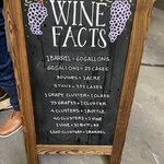 Photo taken by Robin T