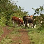 Photo taken by Patricia D