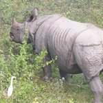 Photo taken by Arpita D