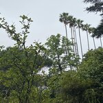 Photo taken by Lisa B