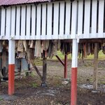 Photo taken by Erica B