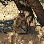 Photo taken by Hunter M