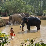 Photo taken by David W