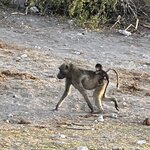 Photo taken by Janie W