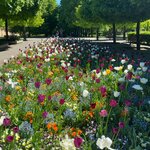 Photo taken by Sylvia S