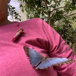 Photo taken by Cindy R