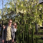 Photo taken by Kent P