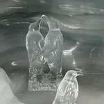 Photo taken by Tommy B