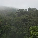 Photo taken by Khaled S