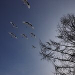 Photo taken by Iain M