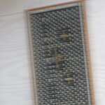 Photo taken by Iris W