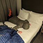 Photo taken by Jessica V