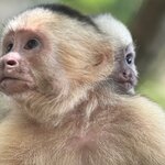 Photo taken by Erika M