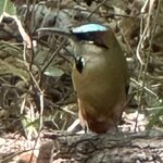 Photo taken by Bert B