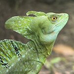 Photo taken by Sarah C