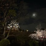 Photo taken by Nadine G