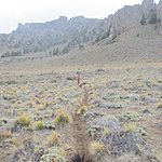 Photo taken by Nicholas T