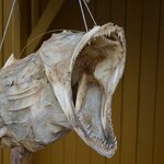 Photo taken by paolo c