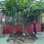 Photo taken by Alexia M