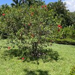 Photo taken by Robin W