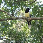 Photo taken by Stephen s