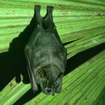 Photo taken by Lee B