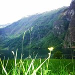 Photo taken by Chris M