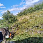 Photo taken by sybil p