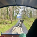 Photo taken by Laura F