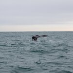 Photo taken by Erica B