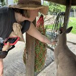 Photo taken by Katie E