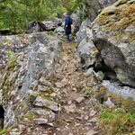 Photo taken by NICOLE L