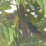 Photo taken by Donna G