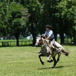 Photo taken by Eric T