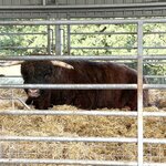 Photo taken by David L