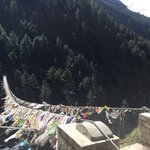 One of my favourite things about his trek were all the suspension bridges - they made the trek exciting. | Photo taken by Anita P