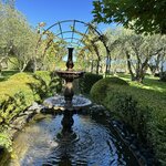 Photo taken by Lisa S