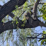 Photo taken by Jessica B